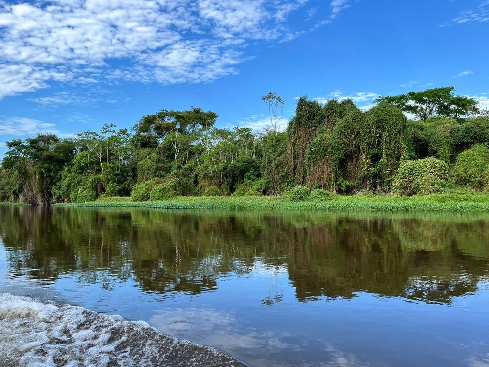 Energisa reitera seu compromisso com a preservação do meio ambiente