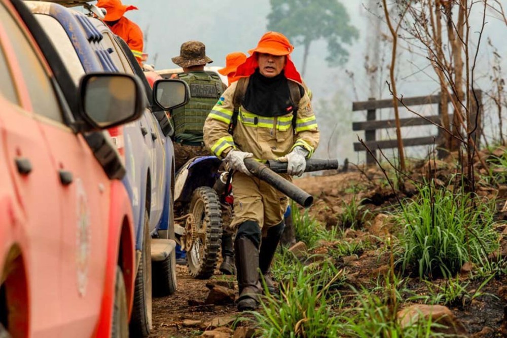 Parque Estadual Guajará-Mirim reduz incêndios com ação conjunta da Operação Temporã